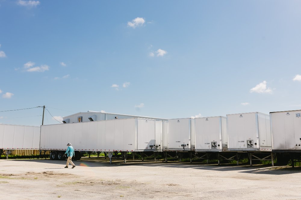 Row of Hyundai Translead dry van trailers at Sun State Trailers with a team member walking past